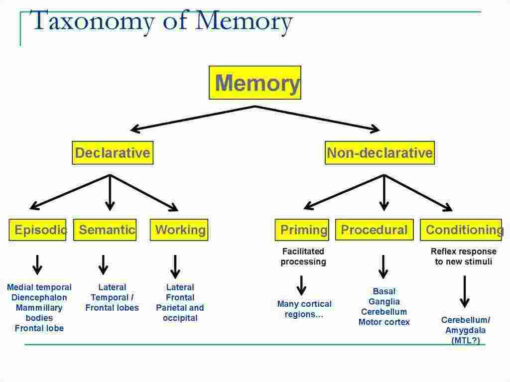 Taxonomy Meaning and Definition