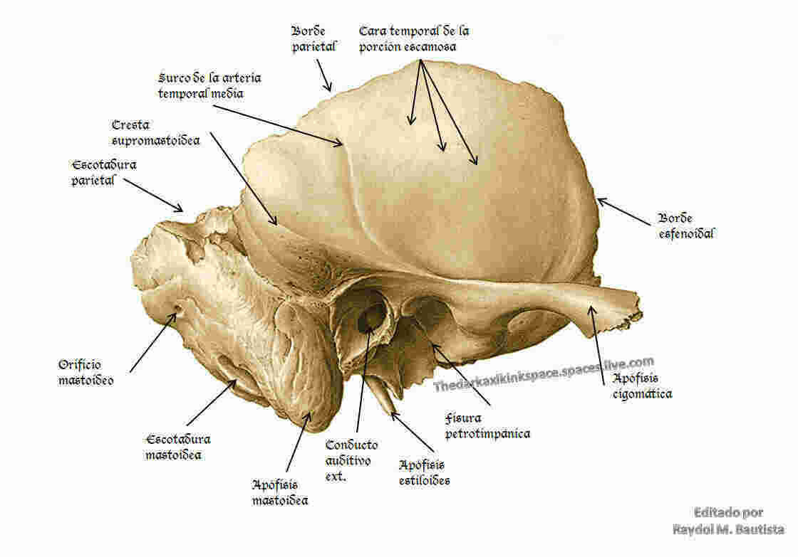 Temporal Meaning and Definition