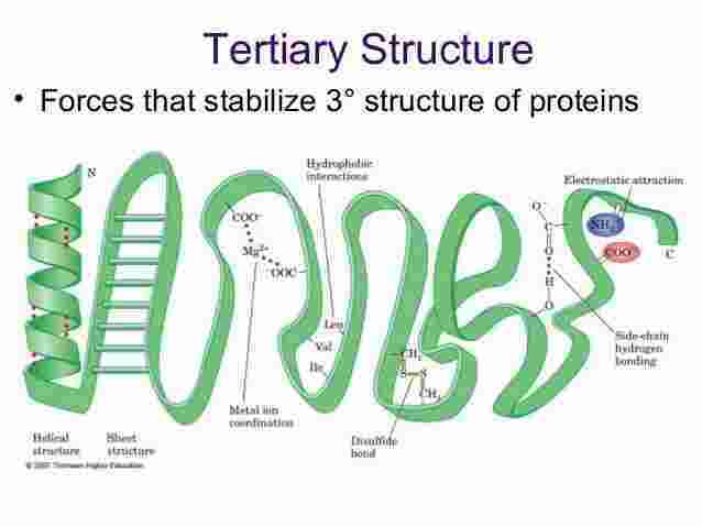 Tertiary Meaning and Definition