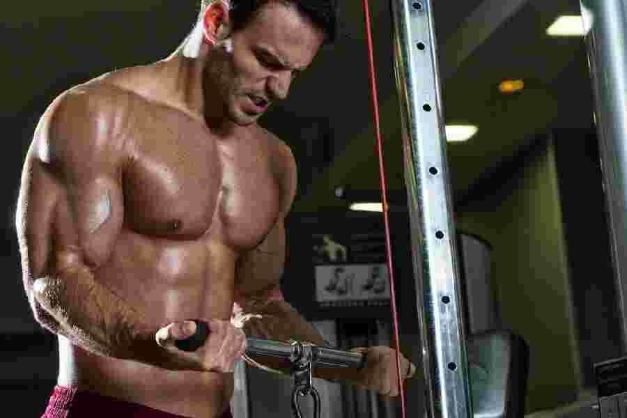 Testosterone Meaning and Definition