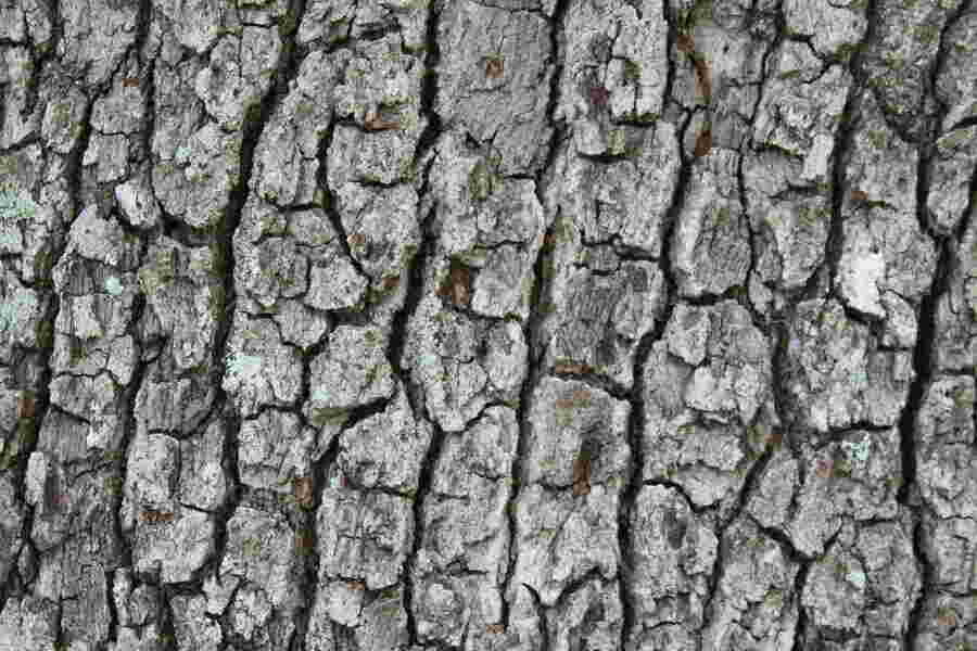 Texture Meaning and Definition