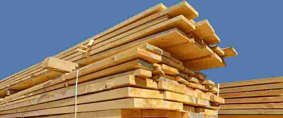 Timber Meaning and Definition