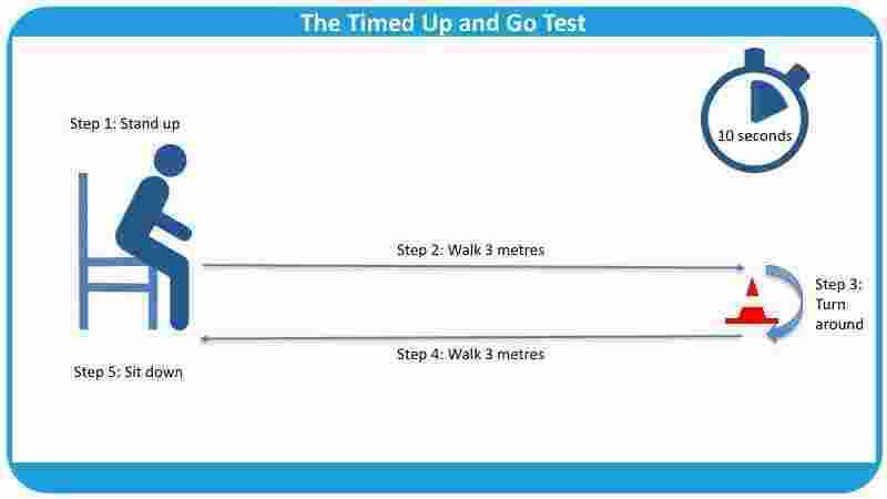 Timed Meaning and Definition