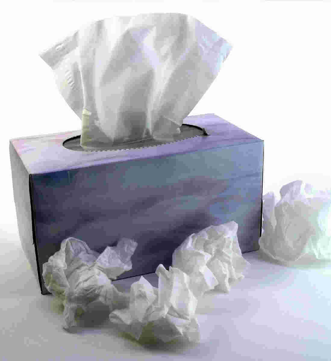 Tissue Meaning and Definition