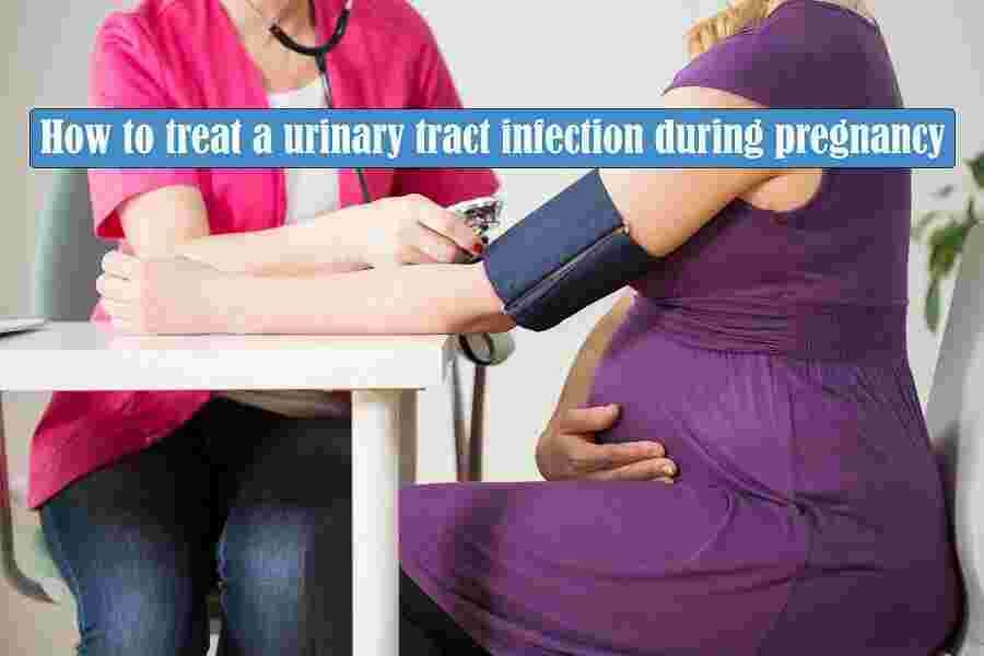 Tract Meaning and Definition