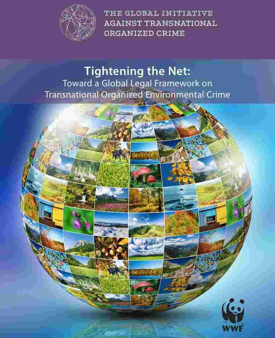 Transnational Meaning and Definition