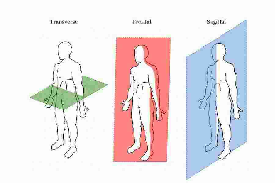 Transverse Meaning and Definition