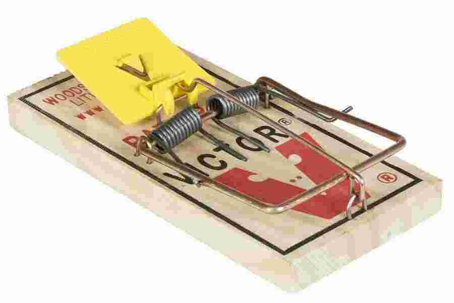 Trap Meaning and Definition