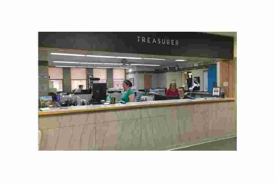 Treasurer Meaning and Definition