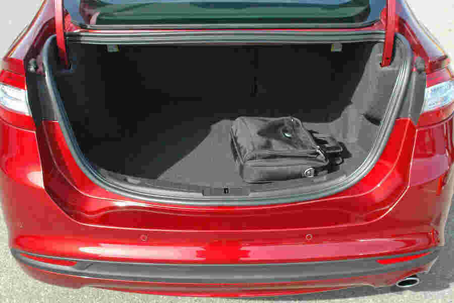 Trunk Meaning and Definition