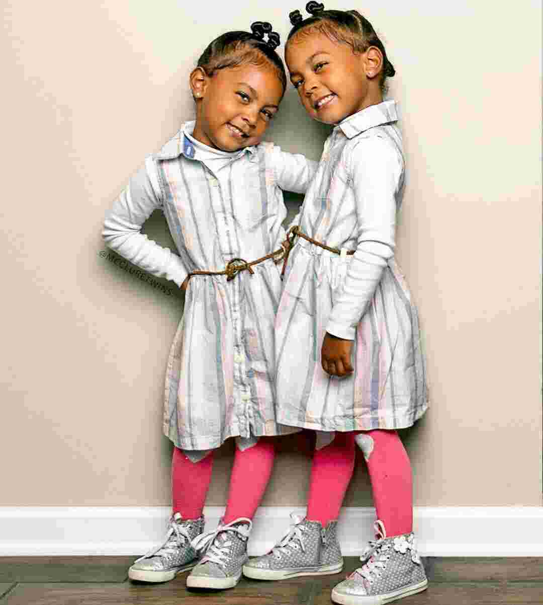 Twin Meaning and Definition