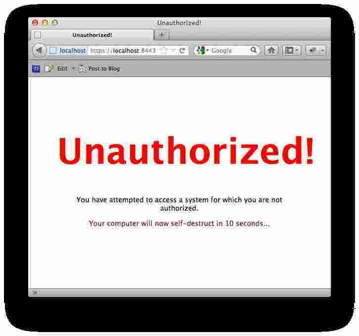 Unauthorized Meaning and Definition