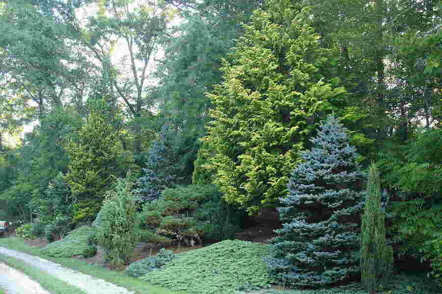 Underwood Meaning and Definition