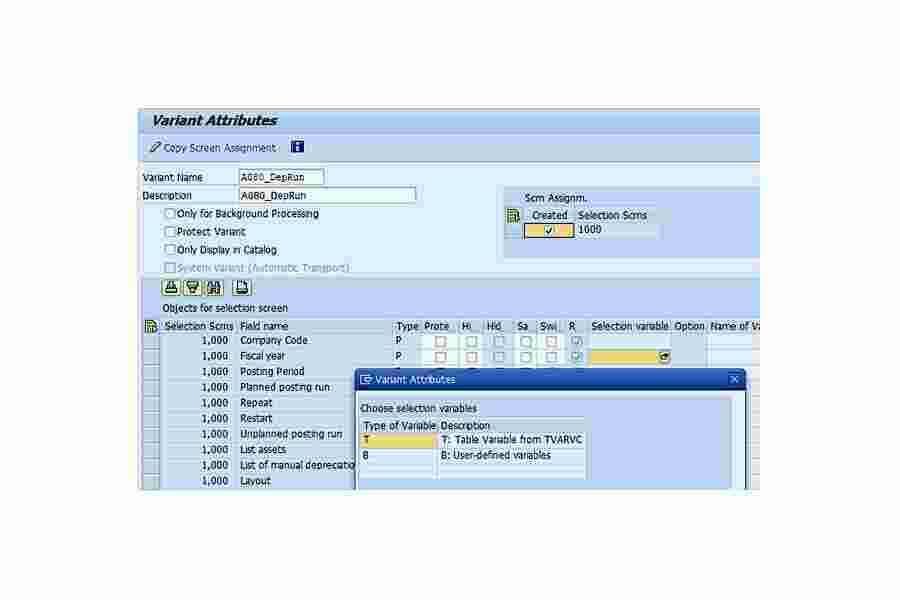Variant Meaning and Definition
