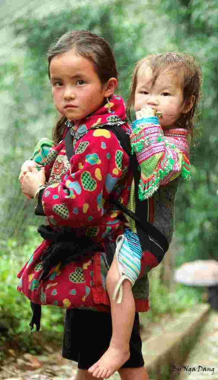 Vietnamese Meaning and Definition