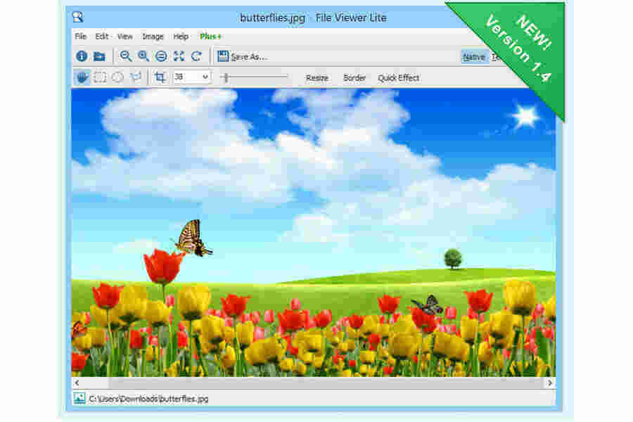 Viewer Meaning and Definition