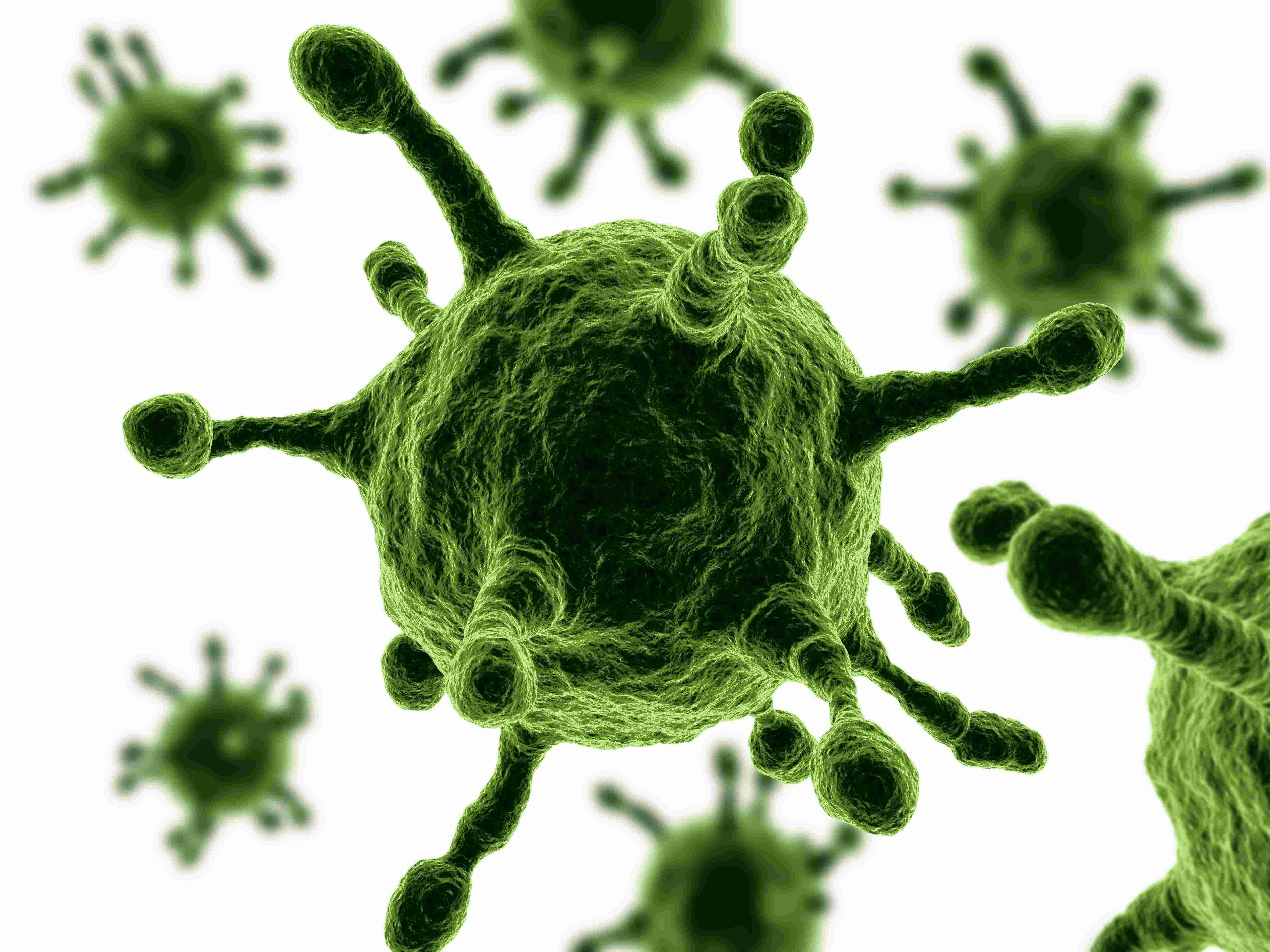 Virus Meaning and Definition