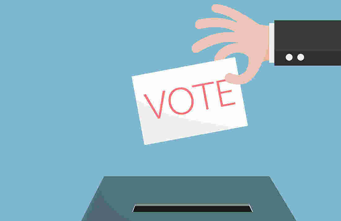 Vote Meaning and Definition