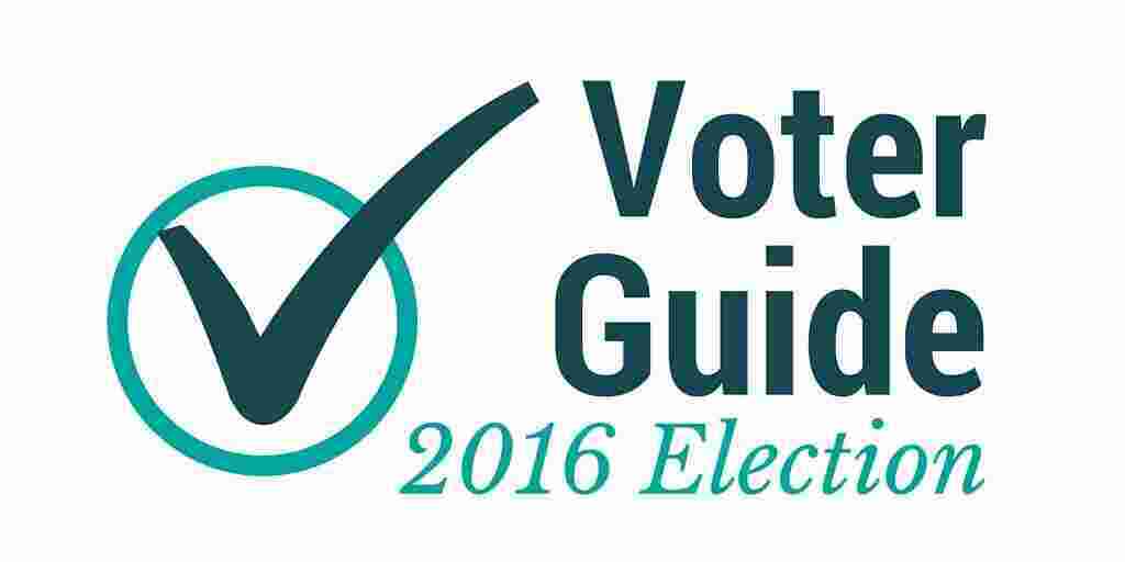 Voter Meaning and Definition