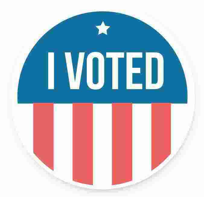 Voting Meaning and Definition