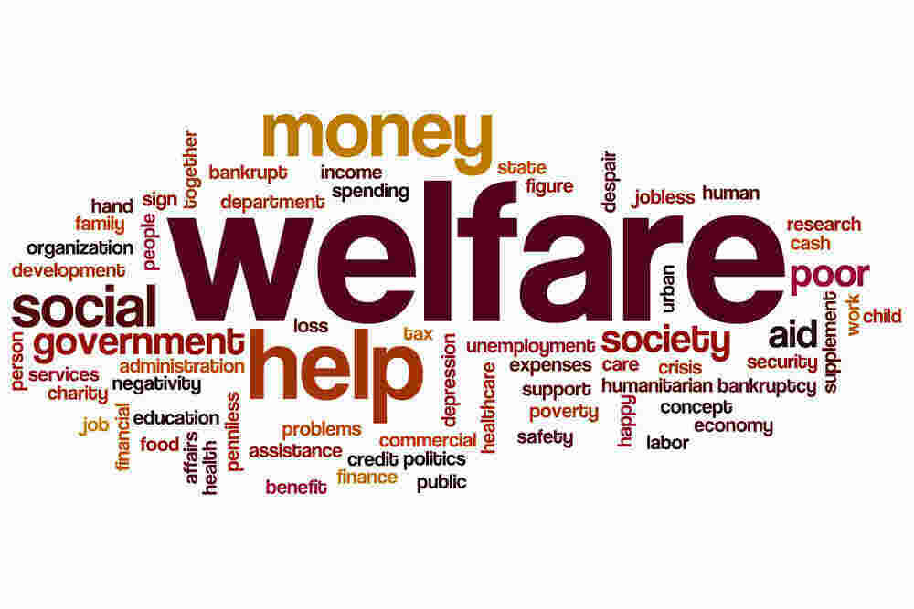 Welfare Meaning and Definition