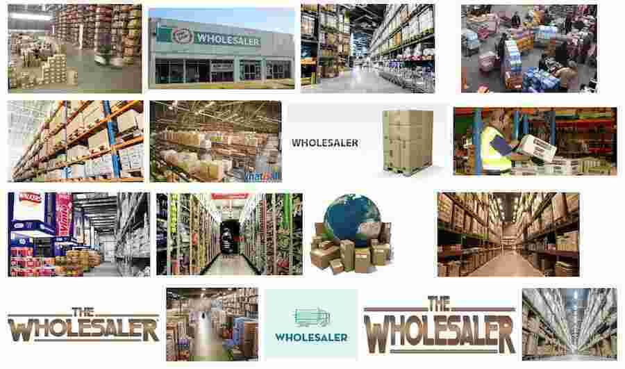 Wholesaler Meaning and Definition