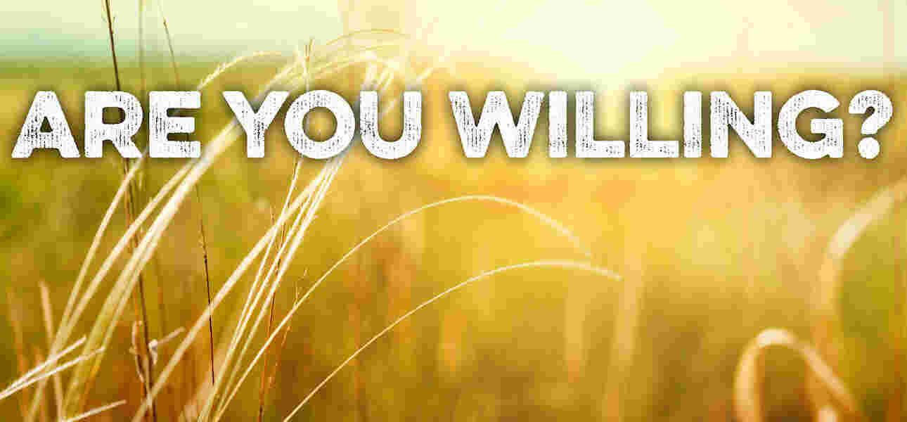 Willing Meaning and Definition