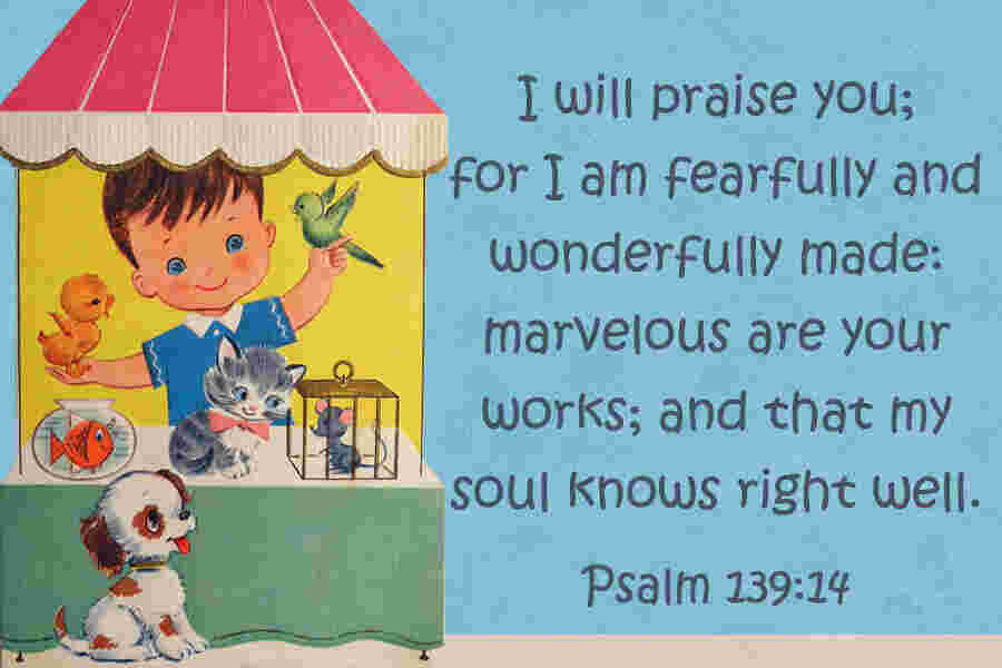 Wonderfully Meaning and Definition