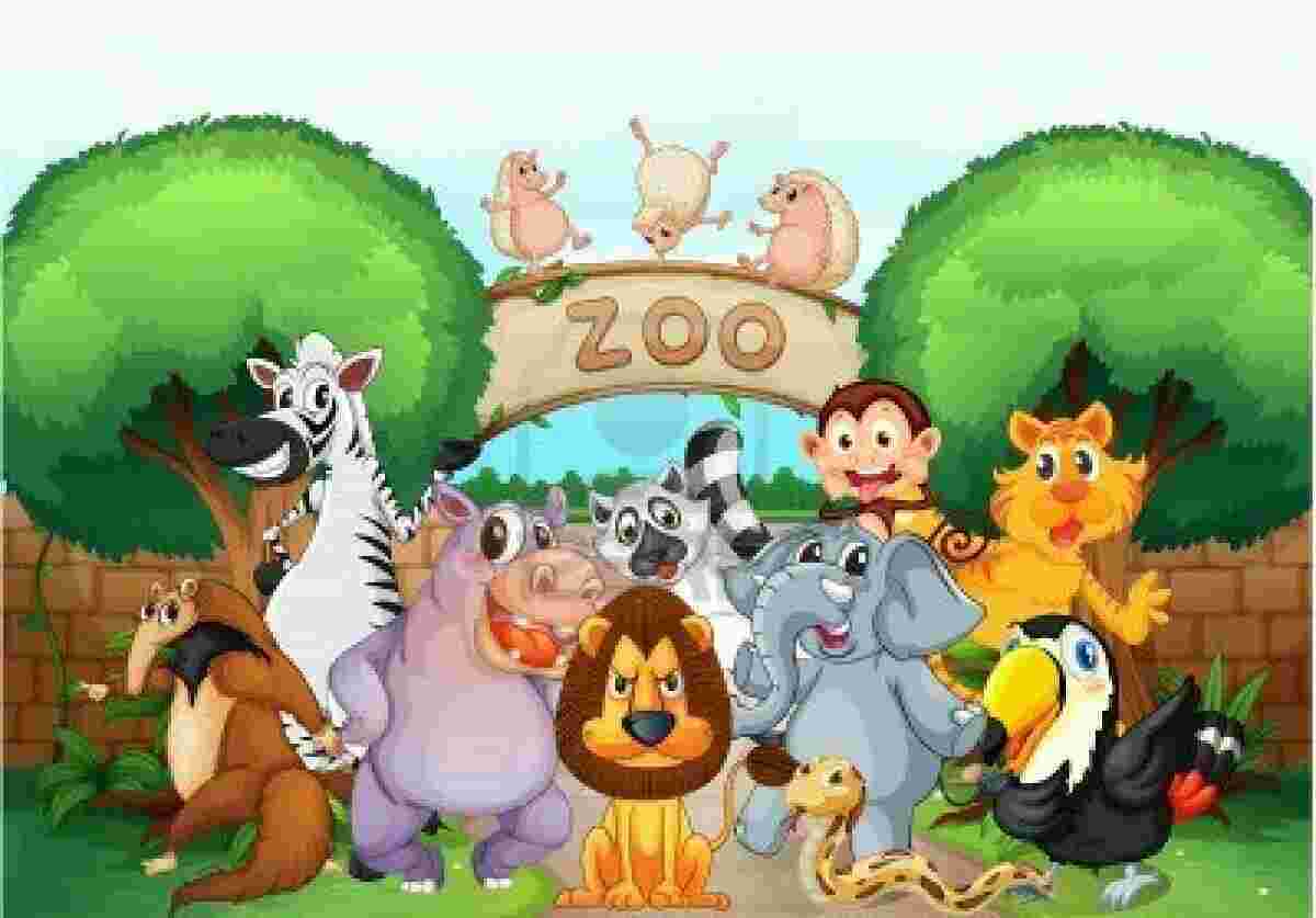 Zoo Meaning and Definition