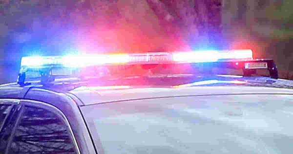 Bear dragged crash victim's body from car in woods off Massachusetts highway, police say 