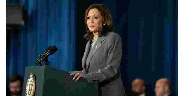 Democratic consensus solidifies around Harris, should Biden step aside 