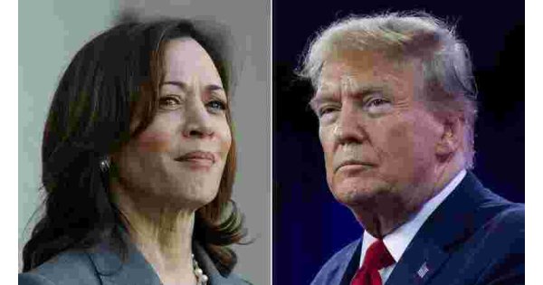 Harris marches toward Democratic nomination as potential rivals endorse her 