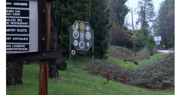 Mountain Lion Attack Leaves Man Dead and Brother Injured in California 