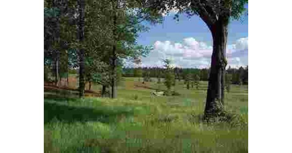 Acreage Meaning and Definition