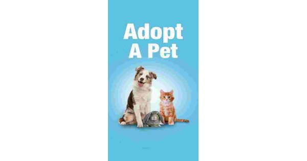 Adopt Meaning and Definition
