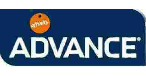 Advance Meaning and Definition Advance Meaning and Definition