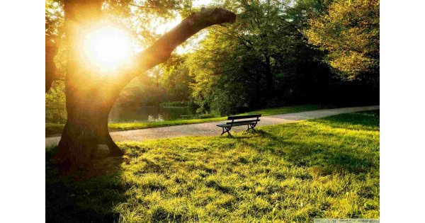Afternoon Meaning and Definition