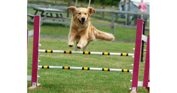 Agility Meaning and Definition