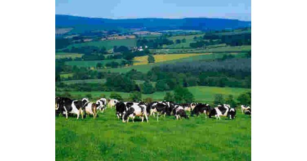 Agri Meaning and Definition