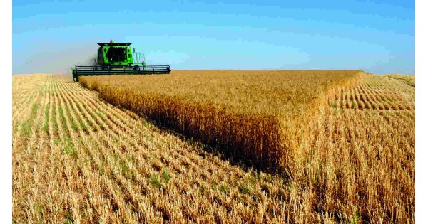 Agricultural Meaning and Definition