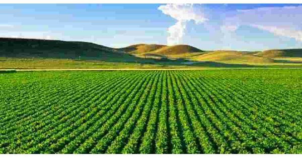 Agriculture Meaning and Definition Agriculture Meaning and Definition