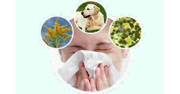 Allergic Meaning and Definition
