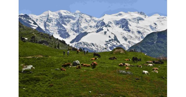 Alpine Meaning and Definition