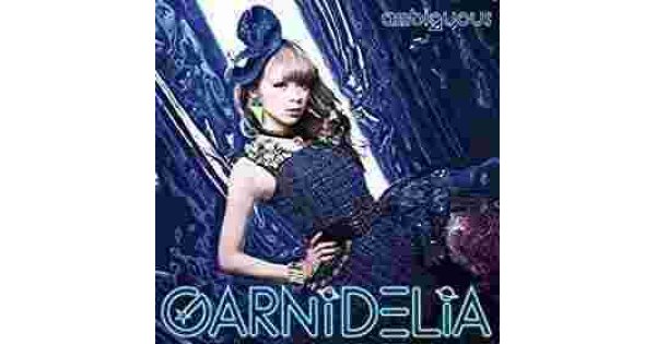 Ambiguous Meaning and Definition