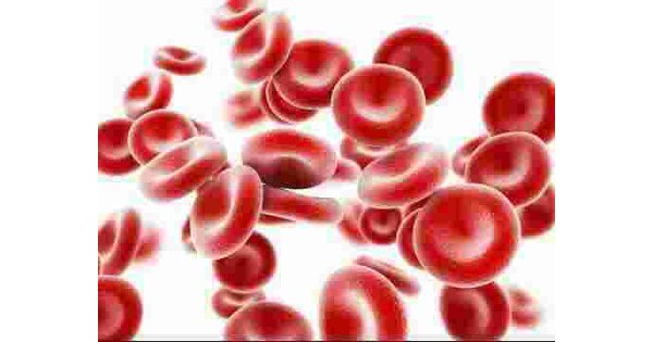 Anemia Meaning and Definition