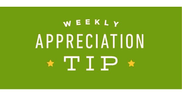 Appreciation Meaning and Definition