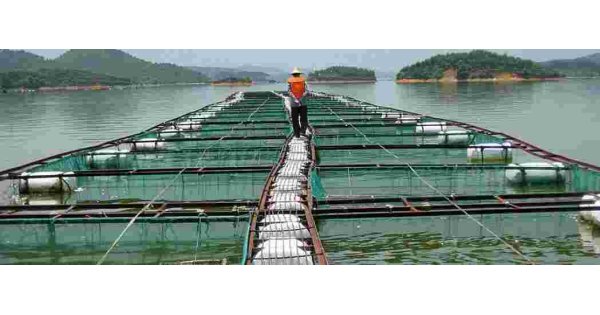 Aquaculture Meaning and Definition Aquaculture Meaning and Definition