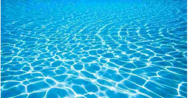Aquatic Meaning and Definition