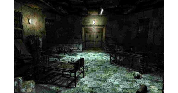 Asylum Meaning and Definition