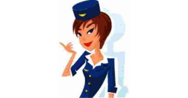Attendant Meaning and Definition Attendant Meaning and Definition